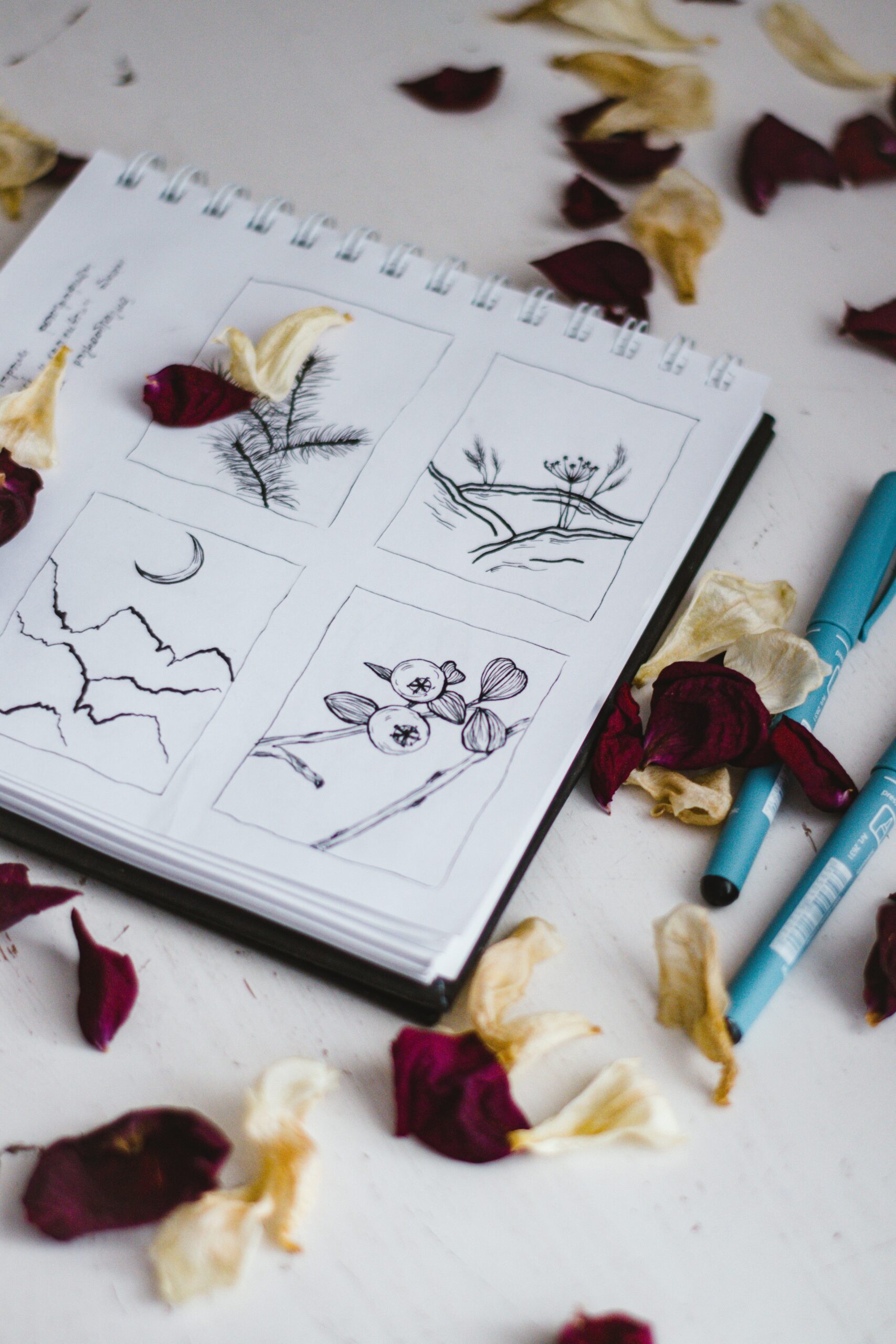 A notebook with hand-drawn botanical sketches